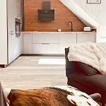 Maison Chez Madeleine 4 Pers, Entre Le Lioran Et Vic-sur-cere Ferienhaus *